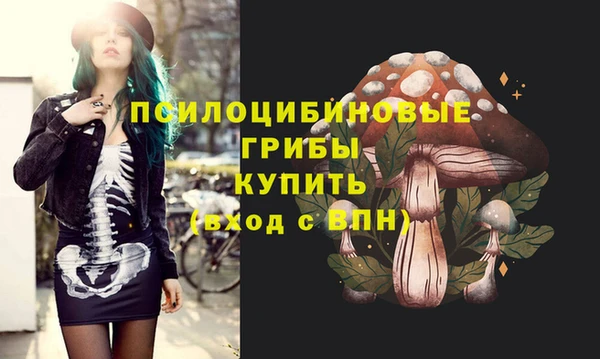 скорость Аркадак