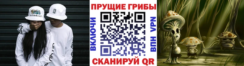 Галлюциногенные грибы Cubensis купить закладку hydra ссылка Тында