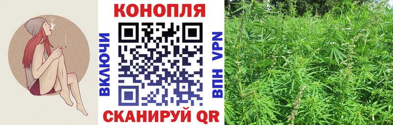 mega вход  Тында  Бошки марихуана гибрид  купить наркотики сайты 